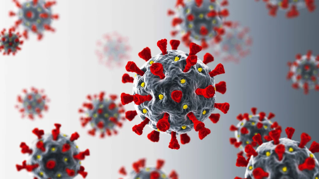 corona virus