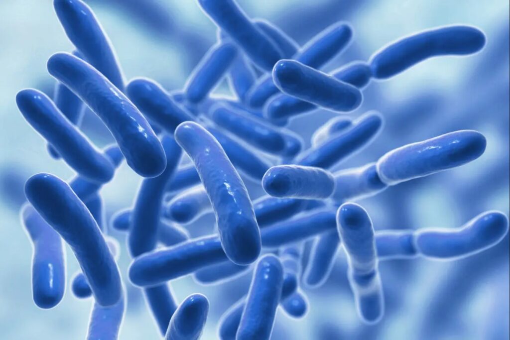 Stomacni virus