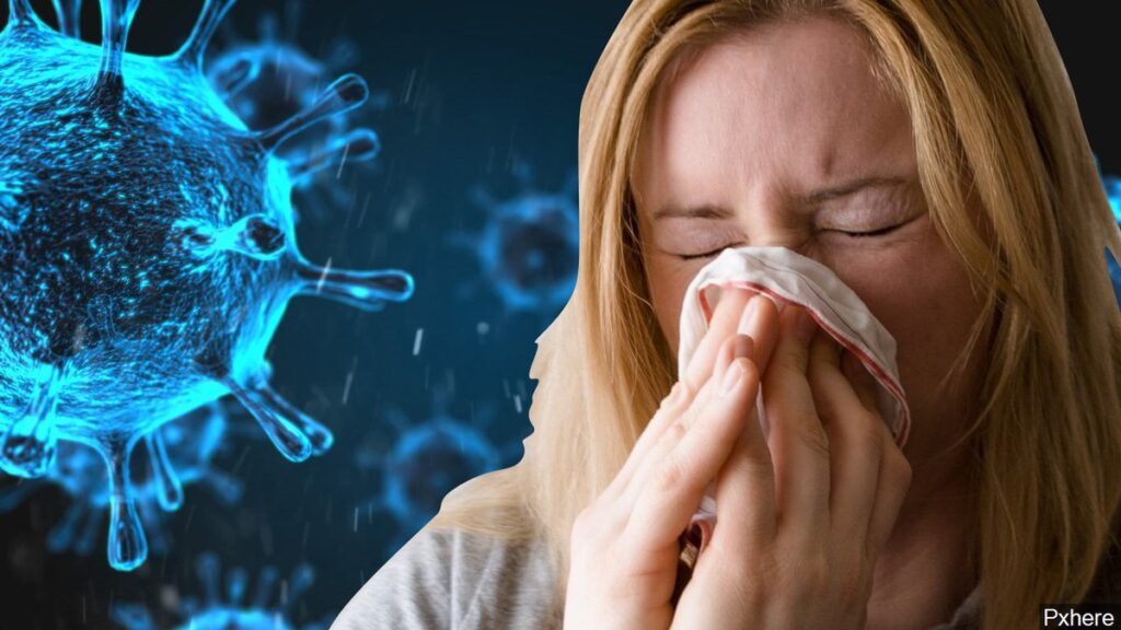 korona virus